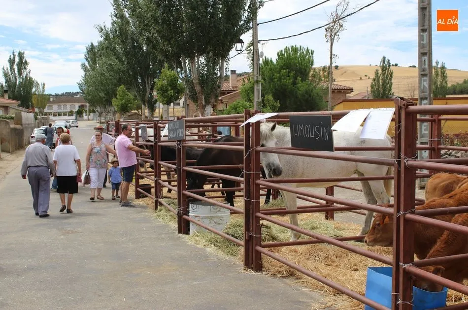Foto 5 - Galinduste consolida su Feria Agroalimentaria y apuesta por la ganader&iacute;a