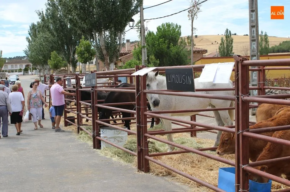 Foto 2 - Galinduste consolida su Feria Agroalimentaria y apuesta por la ganader&iacute;a