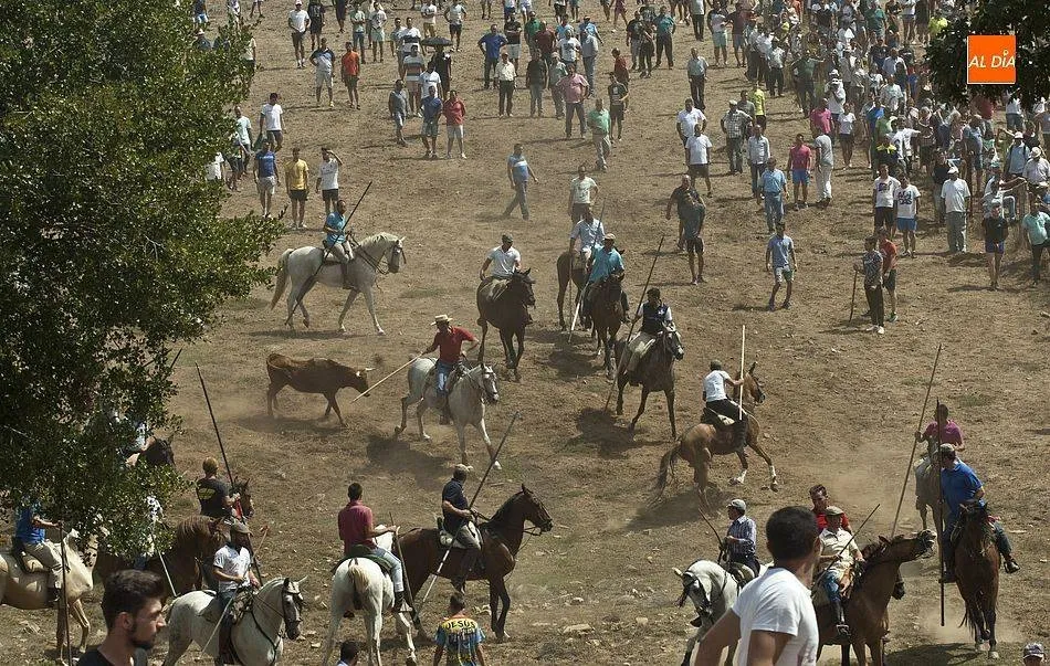 Los encierros a caballo, estrellas de las fiestas de Villasrubias que arrancarán el martes  