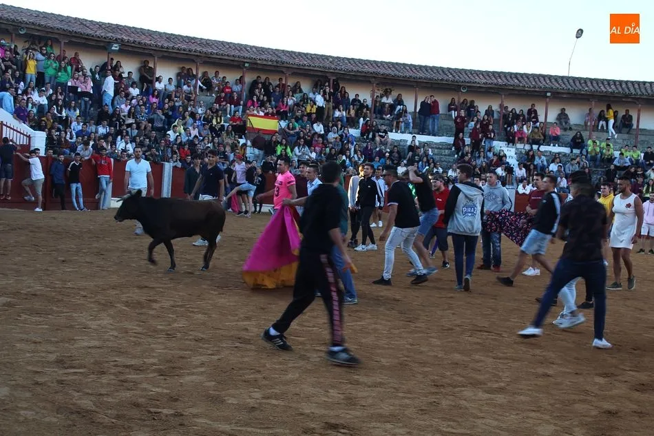 La plaza de toros acogió una nueva edición de la vaquilla del aguardiente