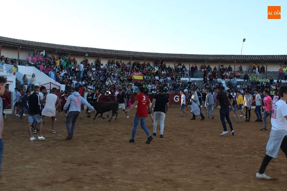 Foto 7 - Los j&oacute;venes llenan la plaza en la vaquilla del aguardiente