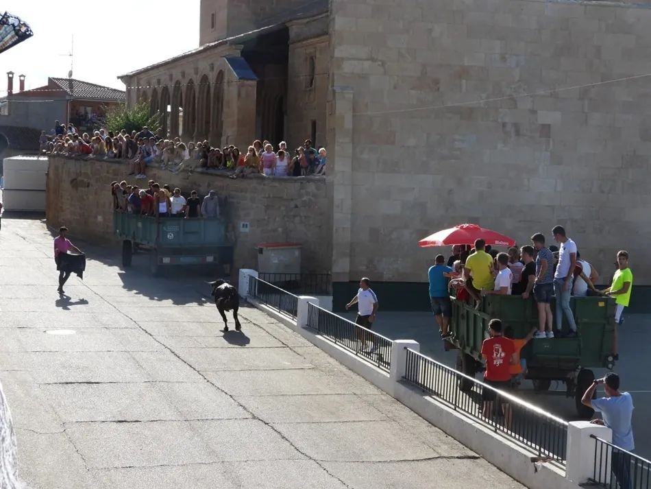 Foto 10 - Aldearrubia dice adi&oacute;s a sus fiestas con el toro del caj&oacute;n