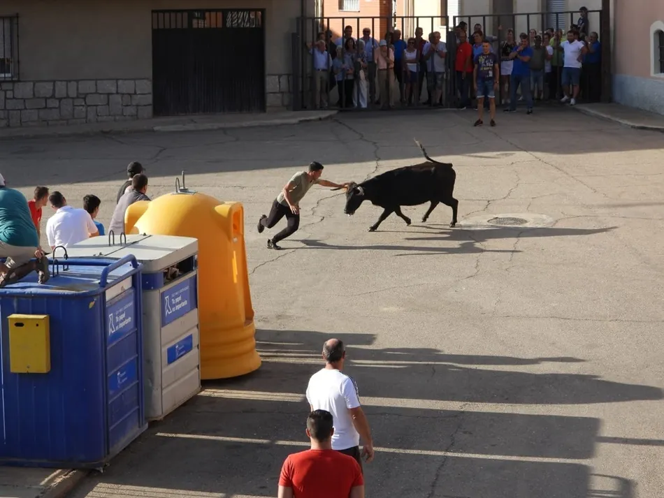 Foto 9 - Aldearrubia dice adi&oacute;s a sus fiestas con el toro del caj&oacute;n