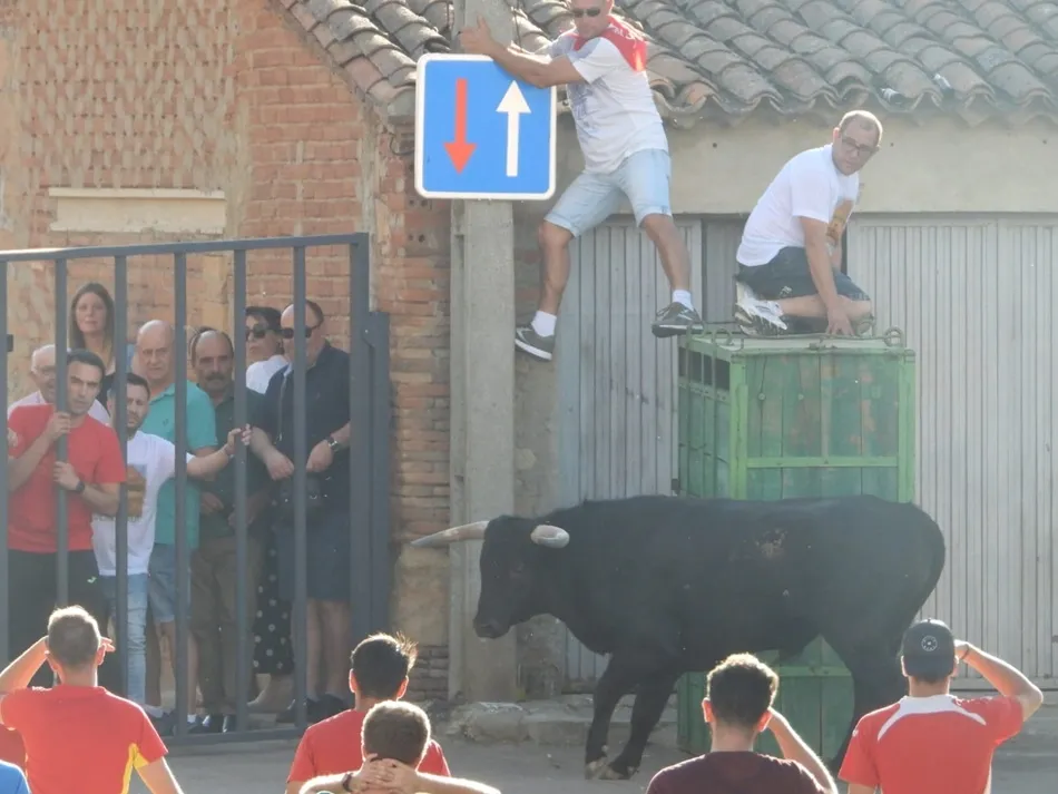 Foto 8 - Aldearrubia dice adi&oacute;s a sus fiestas con el toro del caj&oacute;n