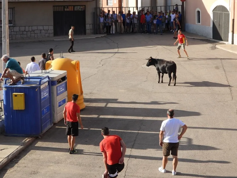 Foto 6 - Aldearrubia dice adi&oacute;s a sus fiestas con el toro del caj&oacute;n