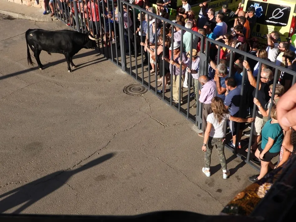 Foto 4 - Aldearrubia dice adi&oacute;s a sus fiestas con el toro del caj&oacute;n