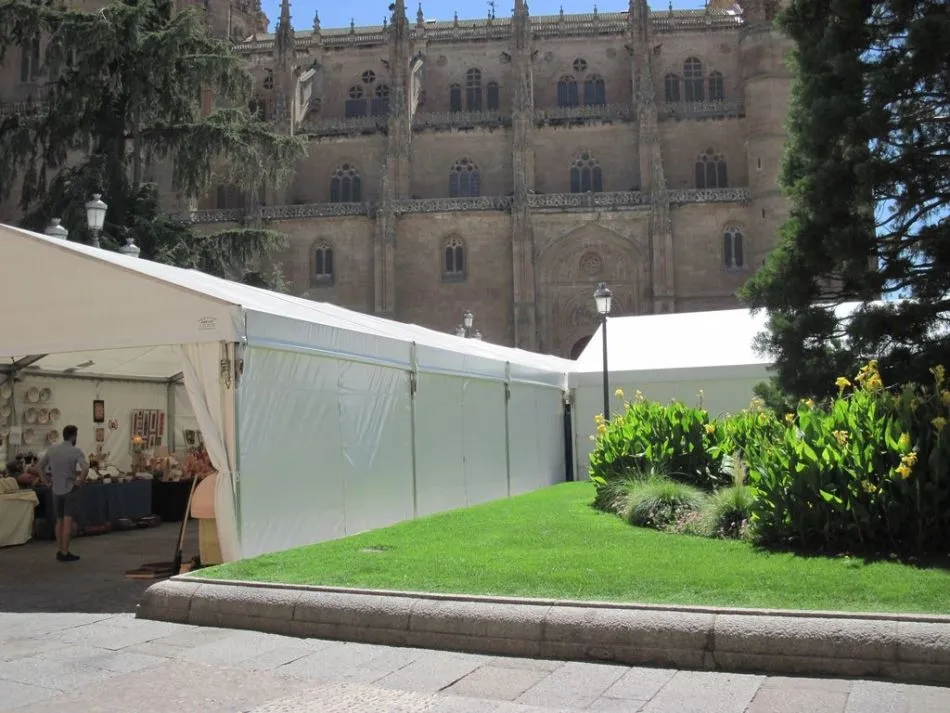 Foto 3 - Defensores del Patrimonio rechazan el uso de la plaza de Anaya para mercados,&nbsp;campa&ntilde;as o ferias