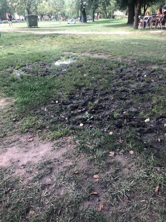 Foto 2 - Crecen las quejas por la existencia de zonas embarradas en la isla de El Pic&oacute;n  