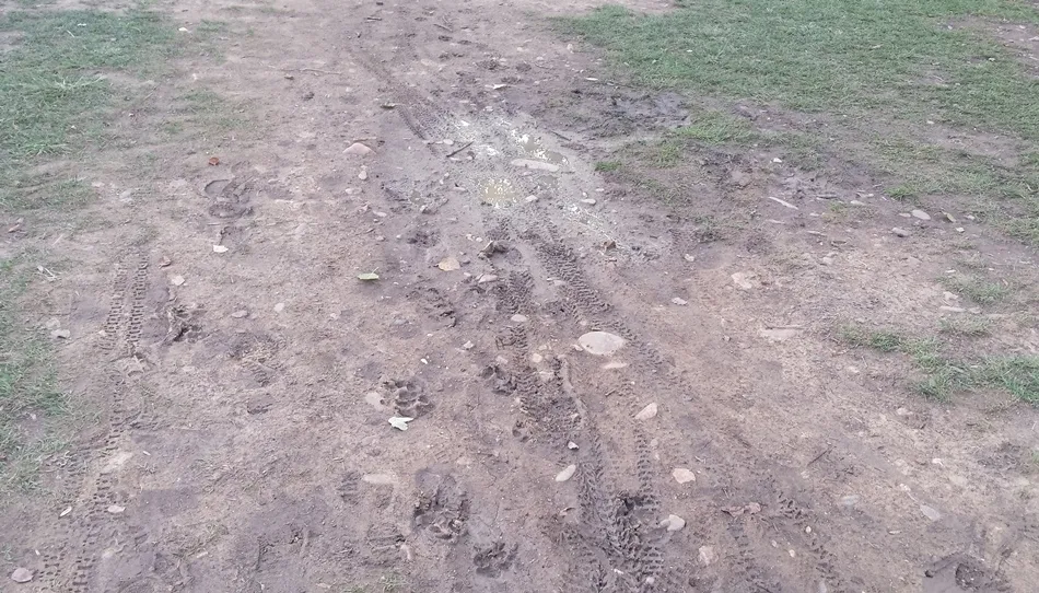 Foto 3 - Crecen las quejas por la existencia de zonas embarradas en la isla de El Pic&oacute;n  