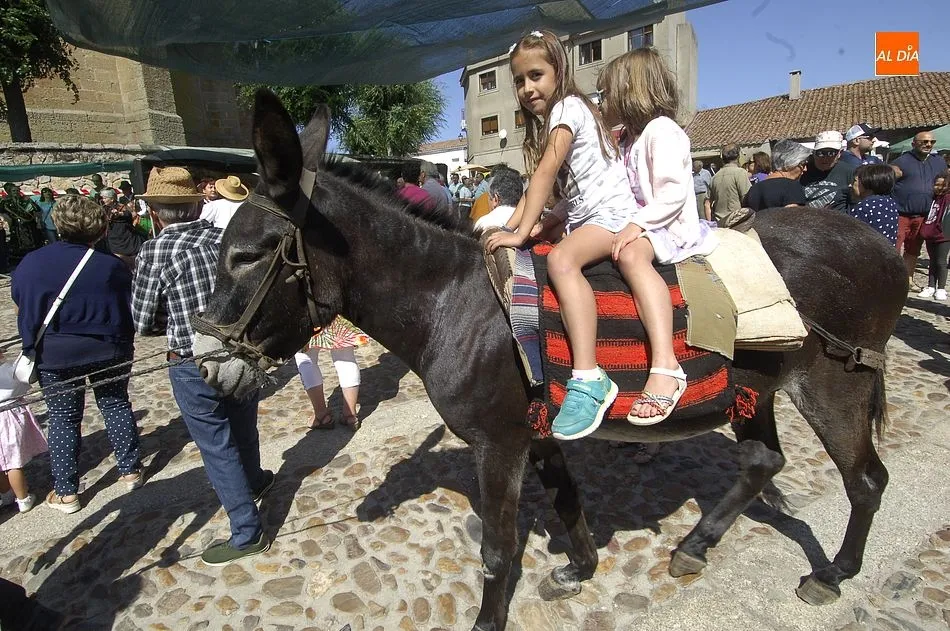 Foto 7 - La Feria de San Bartolom&eacute; da el pistoletazo a la conmemoraci&oacute;n de los 400 a&ntilde;os del Mot&iacute;n de...