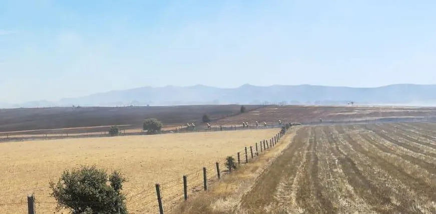 Foto 3 - Los vecinos de El Bod&oacute;n contribuyen a sofocar un incendio en La Dehesa  