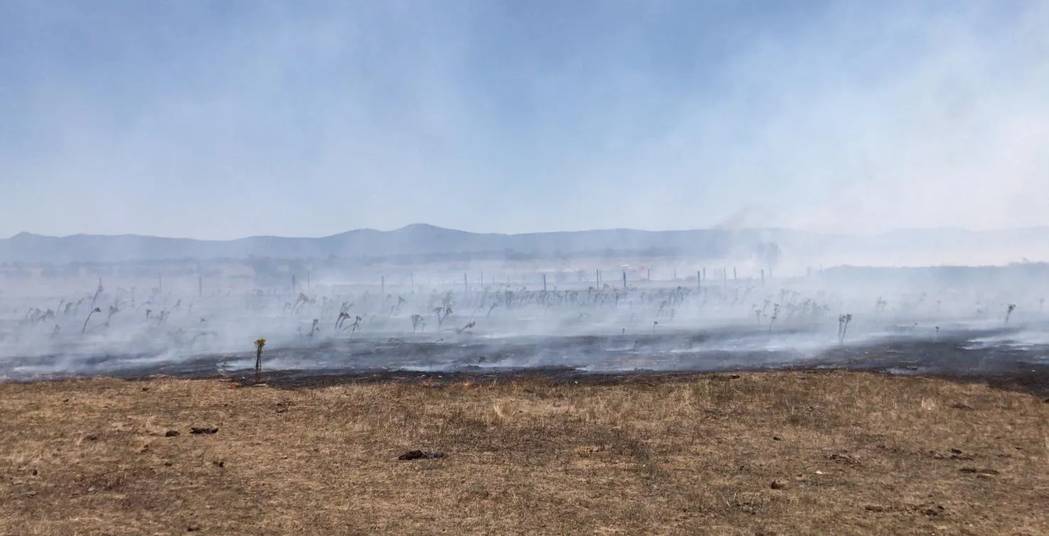 Foto 4 - Los vecinos de El Bod&oacute;n contribuyen a sofocar un incendio en La Dehesa  