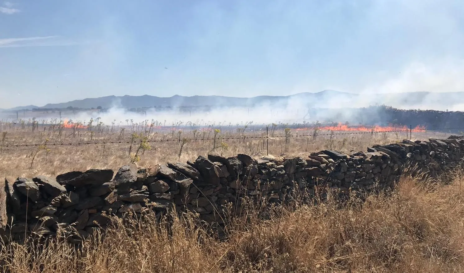 Foto 10 - Los vecinos de El Bod&oacute;n contribuyen a sofocar un incendio en La Dehesa  
