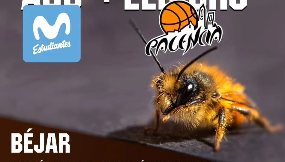 Partido de baloncesto el 31 de agosto a las siete de la tarde