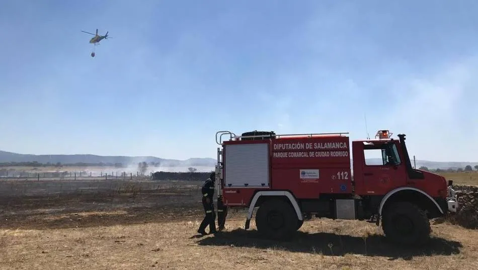 Foto 2 - El fuego por una presunta negligencia en La Encina calcina 30 hect&aacute;reas de pasto