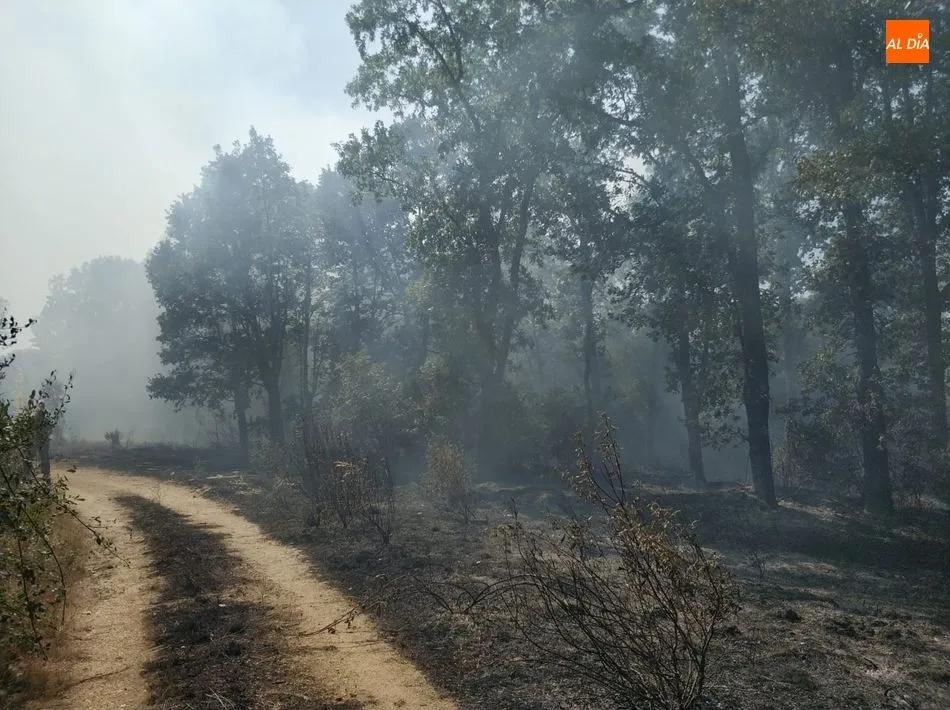 El fuego en Mayalde / Lydia González