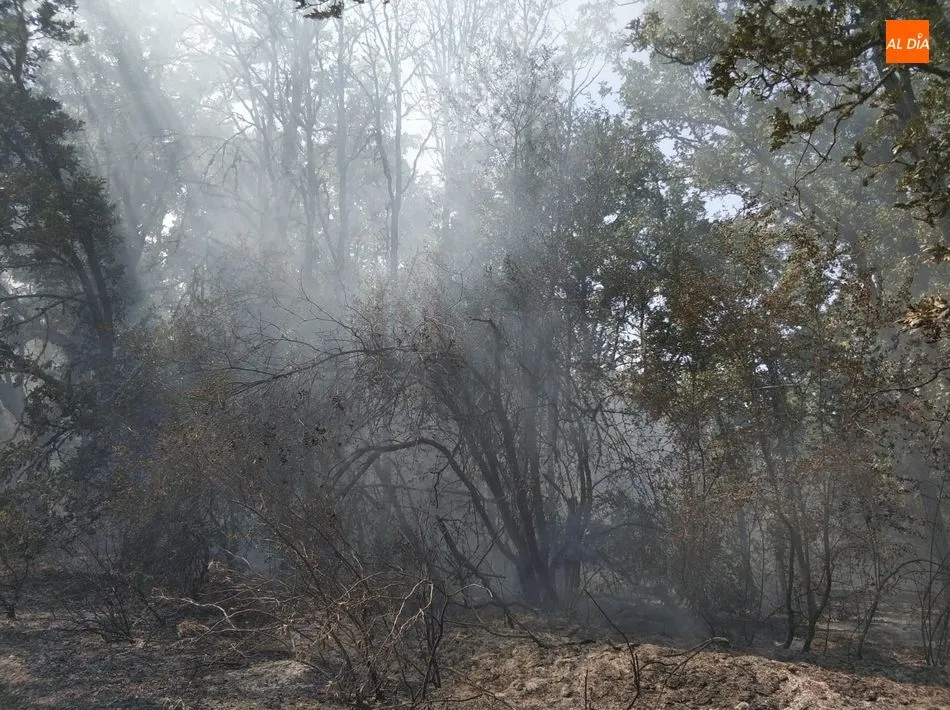 Foto 5 - Los Bomberos de Ledesma sofocan un incendio en Mayalde, junto a Santiz y Valdelosa