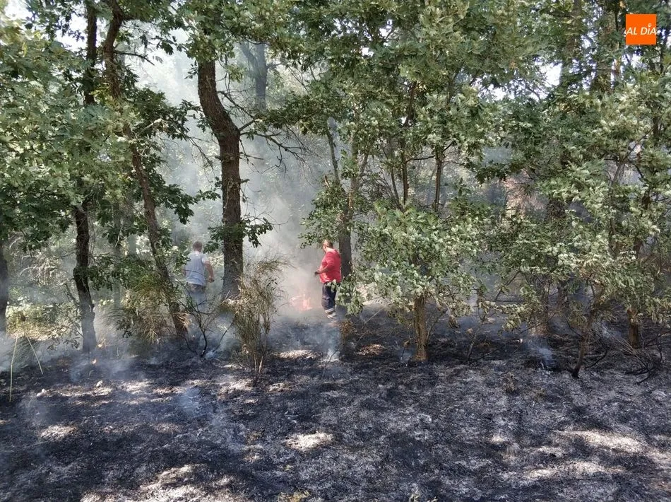 Foto 4 - Los Bomberos de Ledesma sofocan un incendio en Mayalde, junto a Santiz y Valdelosa