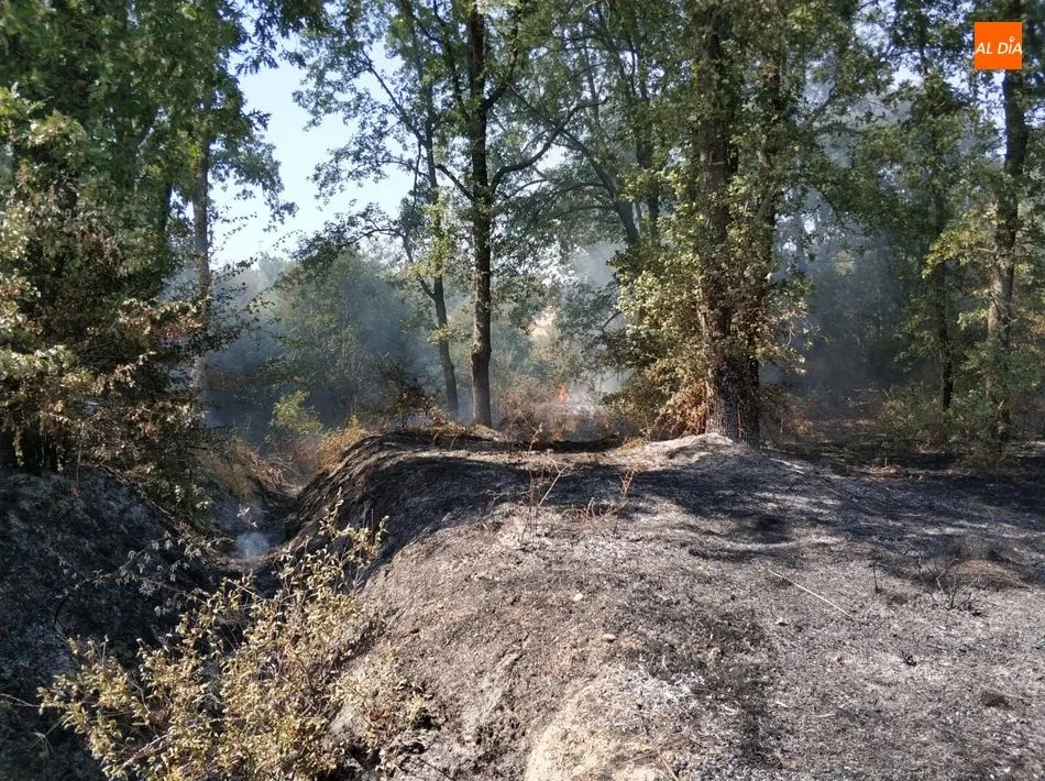 Foto 3 - Los Bomberos de Ledesma sofocan un incendio en Mayalde, junto a Santiz y Valdelosa