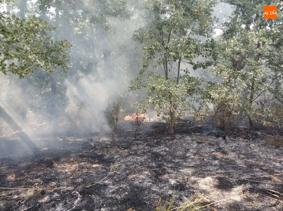 Foto 2 - Los Bomberos de Ledesma sofocan un incendio en Mayalde, junto a Santiz y Valdelosa