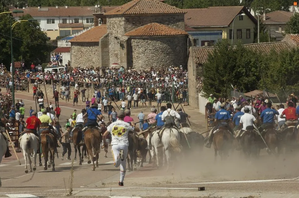 Foto 7 - Fuenteguinaldo abre sus encierros con una carrera r&aacute;pida y limpia  