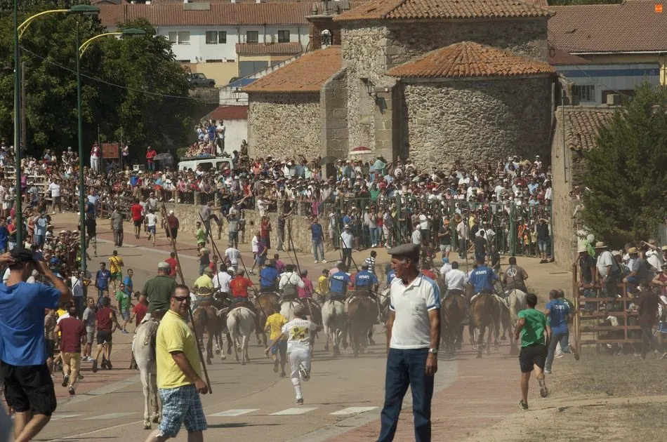 Foto 5 - Fuenteguinaldo abre sus encierros con una carrera r&aacute;pida y limpia  