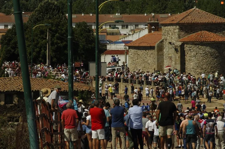 Foto 3 - Fuenteguinaldo abre sus encierros con una carrera r&aacute;pida y limpia  