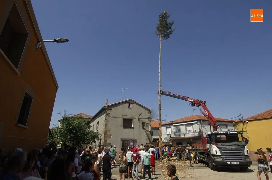 Foto 11 - La Quinta &iacute;ntegramente femenina de Villasrubias iza un pino de m&aacute;s de 20 metros  