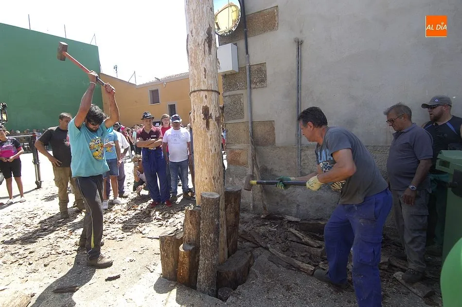 Foto 4 - La Quinta &iacute;ntegramente femenina de Villasrubias iza un pino de m&aacute;s de 20 metros  