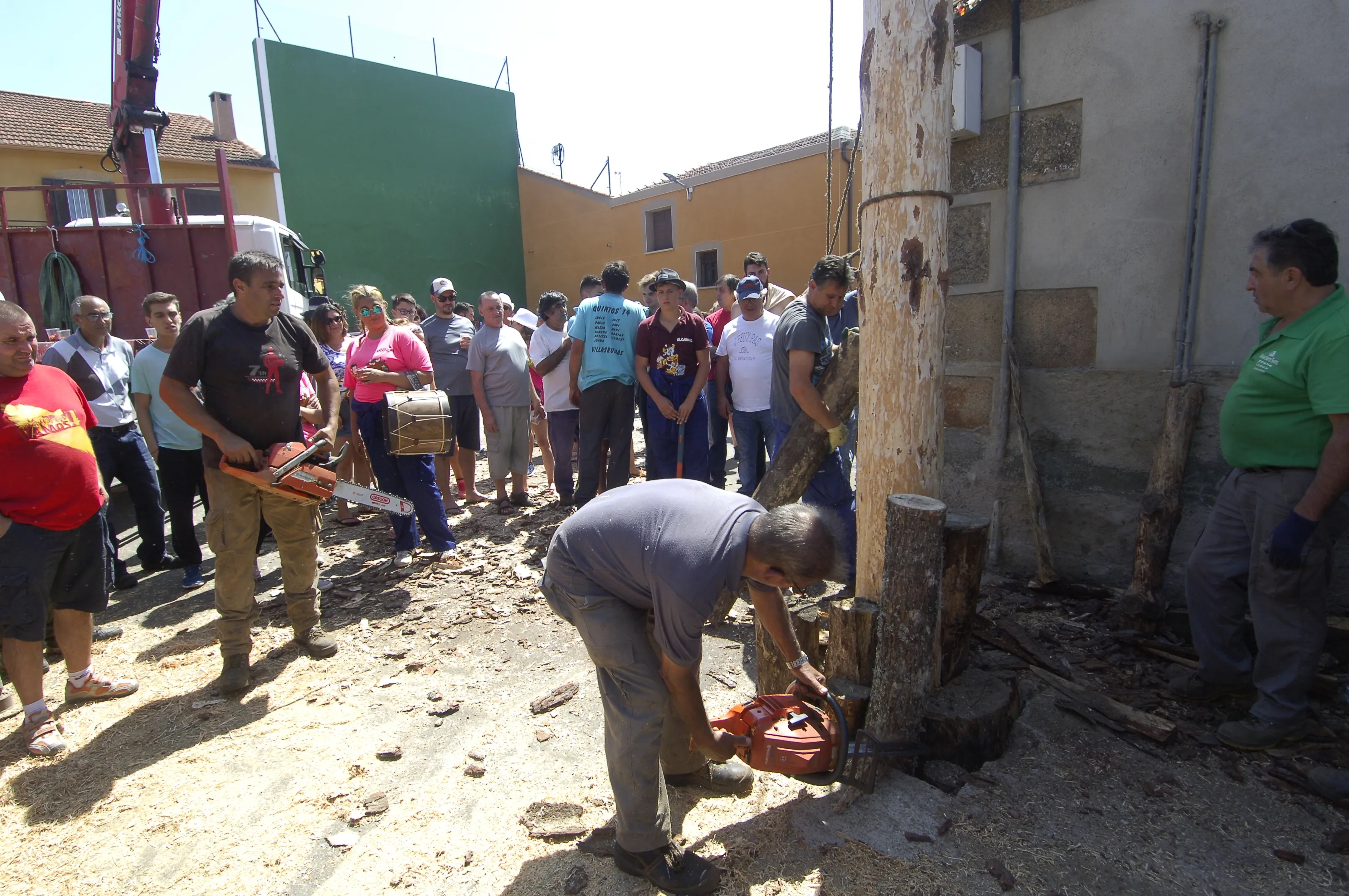 Foto 3 - La Quinta &iacute;ntegramente femenina de Villasrubias iza un pino de m&aacute;s de 20 metros  