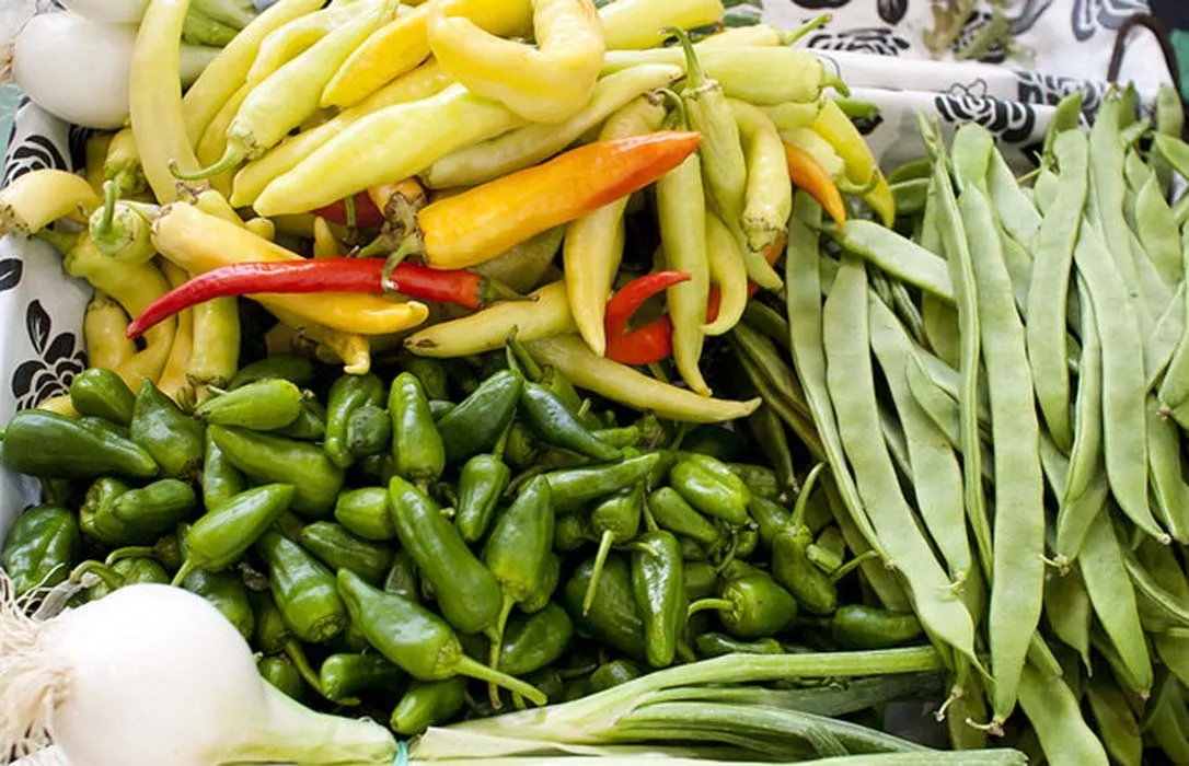 Productos de la tierra