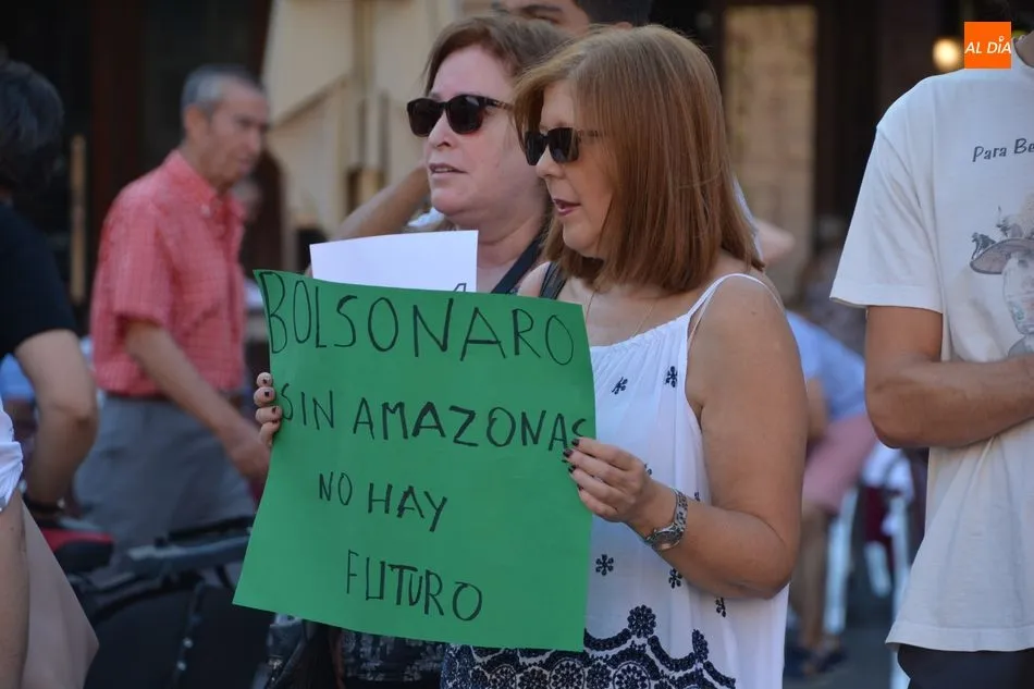 Foto 11 - Las protestas por la inacci&oacute;n en los incendios del Amanzonas llegan a la Plaza Mayor  