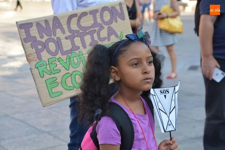 Foto 9 - Las protestas por la inacci&oacute;n en los incendios del Amanzonas llegan a la Plaza Mayor  