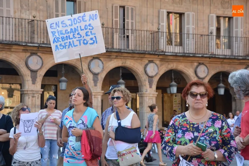 Foto 8 - Las protestas por la inacci&oacute;n en los incendios del Amanzonas llegan a la Plaza Mayor  