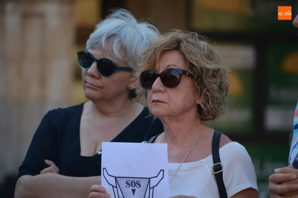 Foto 6 - Las protestas por la inacci&oacute;n en los incendios del Amanzonas llegan a la Plaza Mayor  