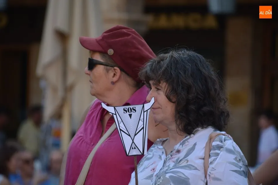 Foto 5 - Las protestas por la inacci&oacute;n en los incendios del Amanzonas llegan a la Plaza Mayor  