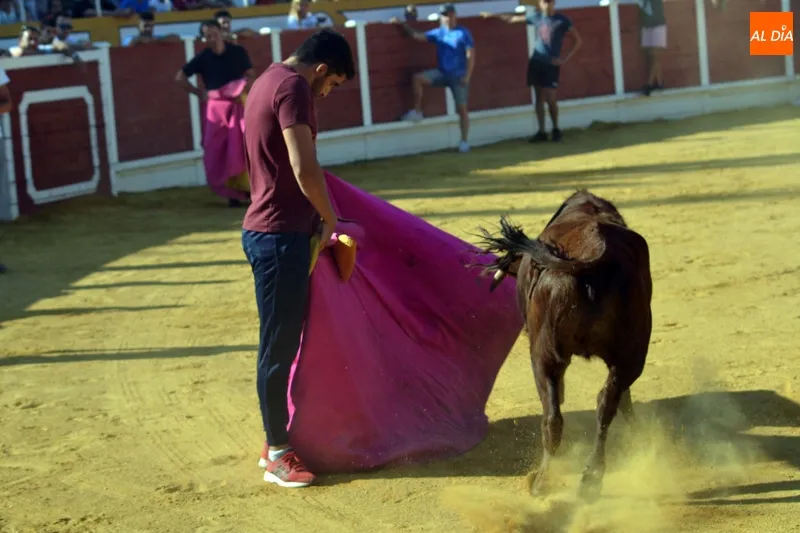 Foto 7 - Las pe&ntilde;as &lsquo;se lucen&rsquo; en la suelta popular de vaquillas de Ferias y Fiestas