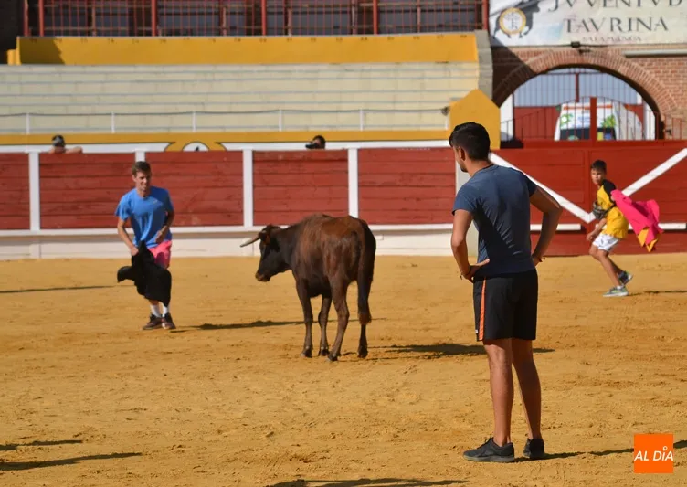 Foto 6 - Las pe&ntilde;as &lsquo;se lucen&rsquo; en la suelta popular de vaquillas de Ferias y Fiestas