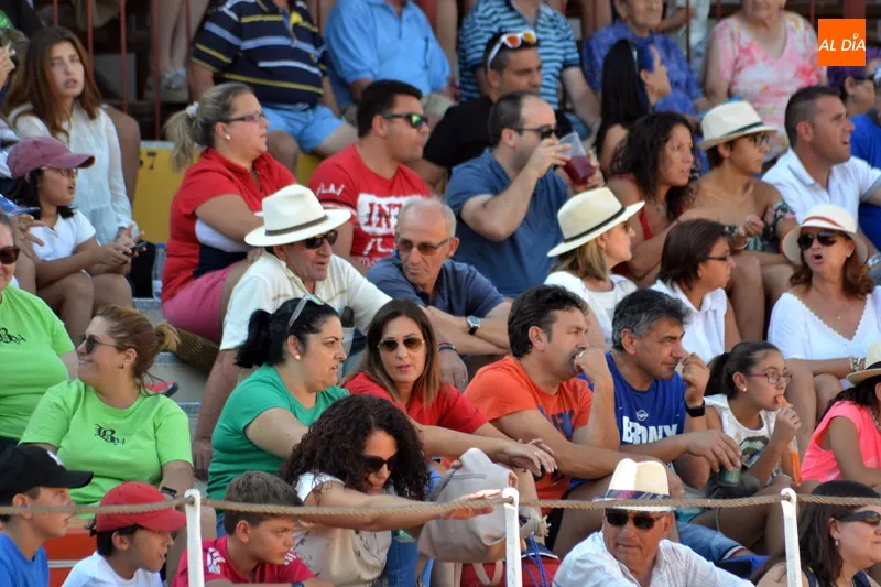Foto 5 - Las pe&ntilde;as &lsquo;se lucen&rsquo; en la suelta popular de vaquillas de Ferias y Fiestas