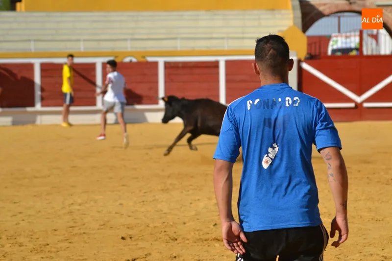 Foto 4 - Las pe&ntilde;as &lsquo;se lucen&rsquo; en la suelta popular de vaquillas de Ferias y Fiestas
