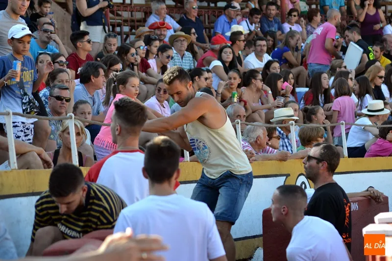 Foto 3 - Las pe&ntilde;as &lsquo;se lucen&rsquo; en la suelta popular de vaquillas de Ferias y Fiestas