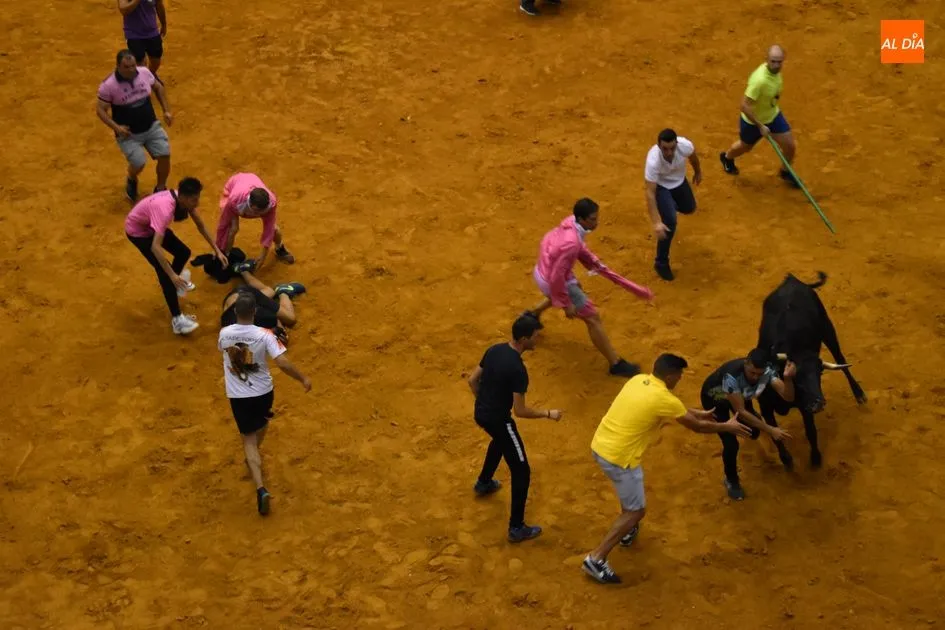 Foto 9 - Nuevo lleno en la Plaza de Toros con el encierro nocturno  