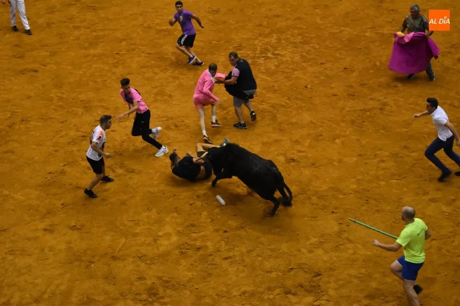 Foto 8 - Nuevo lleno en la Plaza de Toros con el encierro nocturno  