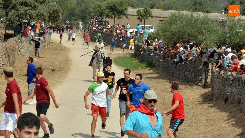 Imagen del encierro en el recorrido por el campo / E. Corredera
