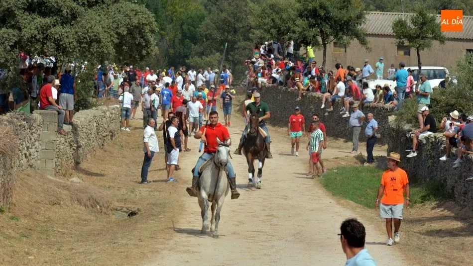 Foto 6 - R&aacute;pido y limpio encierro de los novillos de El Collado en las Fiestas de Lumbrales