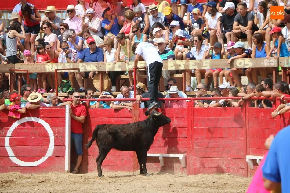 Foto 10 - Bonito y emocionante encierro de Adelaida Rodr&iacute;guez en Vilvestre  
