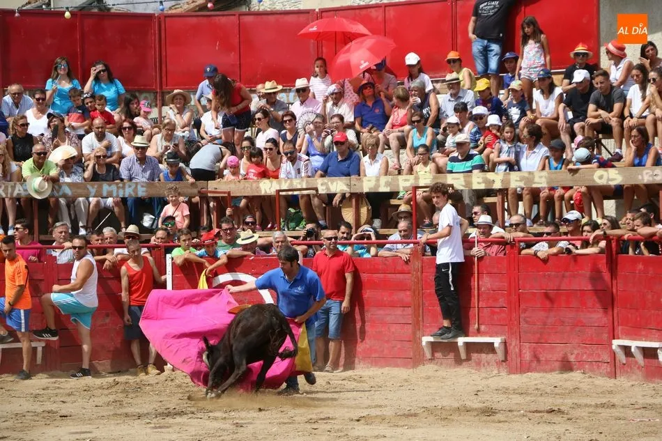 Foto 5 - Bonito y emocionante encierro de Adelaida Rodr&iacute;guez en Vilvestre  