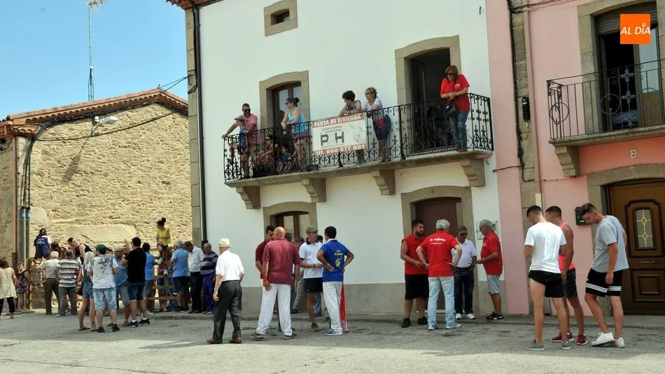 Foto 5 - R&aacute;pido y limpio encierro de los novillos de El Collado en las Fiestas de Lumbrales