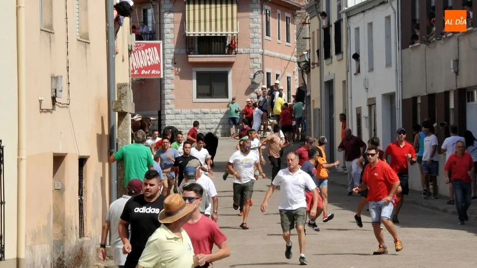 Foto 4 - R&aacute;pido y limpio encierro de los novillos de El Collado en las Fiestas de Lumbrales