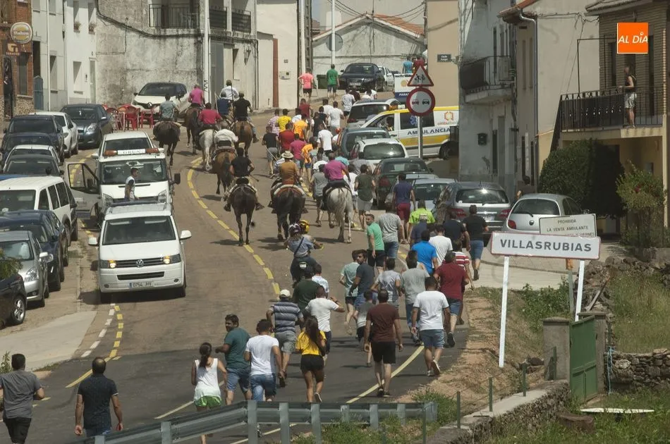 En busca de las vacas extraviadas | Fotos Adrián M.Pastor